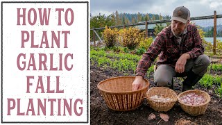 How to Plant Garlic Fall Garlic Planting [upl. by Olpe]