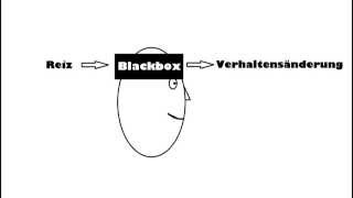 Lerntheorie Behaviorismus [upl. by Assadah]