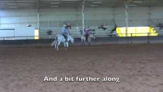 A bolting Percheron at a clinic [upl. by Bibby]