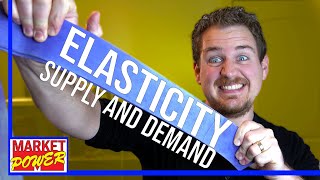 How To Understand Elasticity Economics [upl. by Yartnoed]