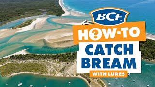 How to Catch Bream on Lures  BCF How To [upl. by Ohare]