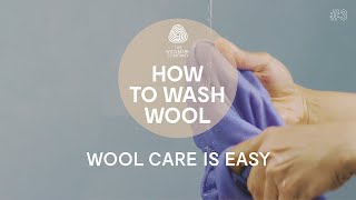 How to Hand Wash a Wool Sweater [upl. by Esiuol]