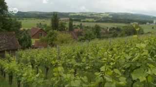 Die Weinregion Thurgau in der Schweiz  Euromaxx [upl. by Aelahs153]