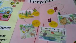 ECOSISTEMAS LAPBOOK [upl. by Giusto]