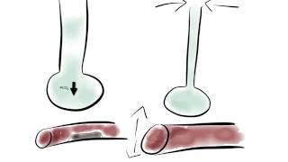 Ventilator Modes Explained PEEP CPAP Pressure vs Volume [upl. by Aryhs]