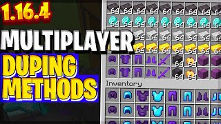 Minecraft 1165 ALL MULTIPLAYER DUPLICATION METHODS UPDATED How to Dupe on Minecraft Servers [upl. by Natascha]