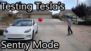 Does Teslas Sentry Mode Work [upl. by Cad]