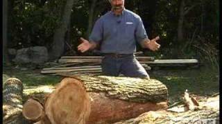 Woodworking DIY Tips Cutting Lumber from Logs [upl. by Clarinda]