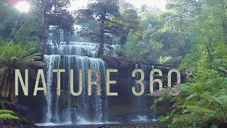 Virtual Nature 360°  Nature Meditation for VR Quest [upl. by Gennaro625]