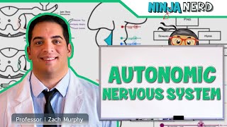 Neurology  Autonomic Nervous System [upl. by Frydman]