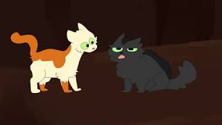 Fallen Leaves meets Hollyleaf [upl. by Netsirhc394]