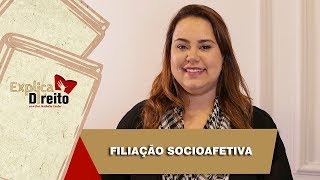 Explica Direito Filiação Socioafetiva  2019 [upl. by Haerdna]