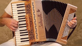 Italian Music TARANTELLA NAPOLETANA accordion Fisarmonica Akkordeonmusik Acordeon The Godfather [upl. by Laehcimaj]