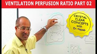 Ventilation Perfusion Ratio part 2 [upl. by Umeko]