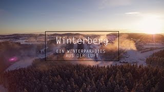 Skiliftkarussell Winterberg  Sauerland  Skigebiet Luftaufnahmen  Drohne  Stock Footage [upl. by Notyap]