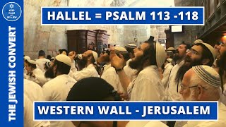 HALLEL at The Western Wall  Psalm 113118  English Subtitles [upl. by Kirsti113]