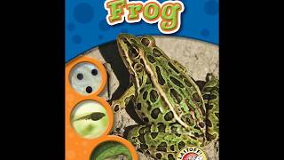 The Life Cycle of a Frog [upl. by Rothenberg]