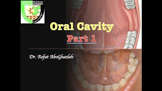 Oral Cavity  Part 1 [upl. by Nednal]