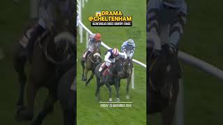 😱DRAMATIC Cross Country Chase at Cheltenham [upl. by Nwahsad]