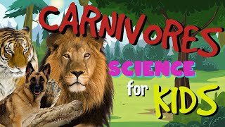 What is a Carnivore  Science for Kids [upl. by Trinetta926]