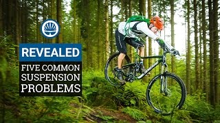 Five Common Suspension Problems amp How To Fix Them [upl. by Eppesiug]