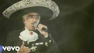 Vicente Fernández  Palabra De Rey Cover Audio La Leyenda Viviente Video [upl. by Ffoeg372]