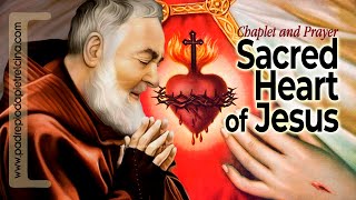 Chaplet of Sacred Heart of Jesus  Padre Pios favorite Prayer ᴴᴰ [upl. by Christoph]