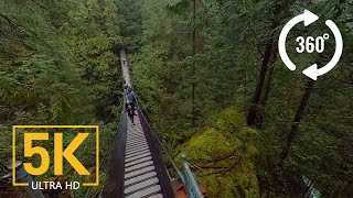 Virtual Nature Relaxation  VR 360° 5K Video  Creek Canyon Trail BC Canada [upl. by Ardnoyek995]