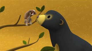 Sunda Slow Loris  Leo the Wildlife Ranger Minisode 137 [upl. by Lindberg]