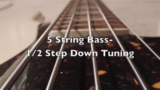 5 String Bass12 Step Down Tuning HD [upl. by Daukas]