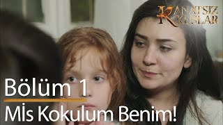 Mis kokulum  Kanatsız Kuşlar 1 Bölüm [upl. by Uyerta187]