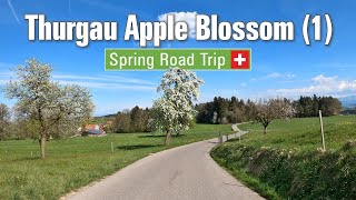 Spring in Switzerland 🇨🇭 Ep6 • Road Trip through the Thurgau apple blossom landscape Pt 1 🍎 4K [upl. by Leoine]