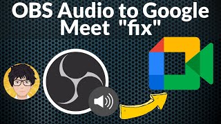 OBS Audio to Google meet  How to fix 💻⚙️🐞 [upl. by Luisa428]