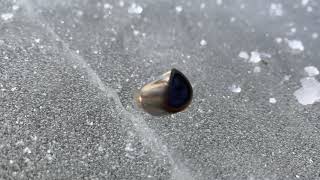 Ricochet Bullet Spinning On Ice [upl. by Naloj]