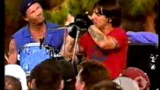 Red Hot Chili Peppers  The Zephyr Song Live VH1 BBQ  USA 2002 [upl. by Ognimod766]