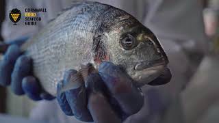 How to fillet a gilthead sea bream [upl. by Mundy]