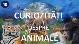 Top 40 curiozitati despre animalele lumii 🦋 stiati ca [upl. by Adnical684]