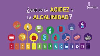 ¿Qué es ACIDEZ y ALCALINIDAD [upl. by Ginni]