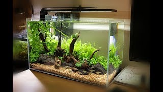 NonCo2 Aquascape Setup  Waterbox Clear 10 [upl. by Aracat]