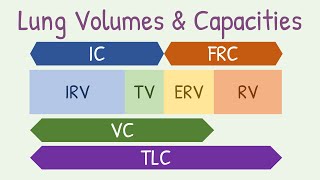 Lung volumes and capacities [upl. by Nisbet]