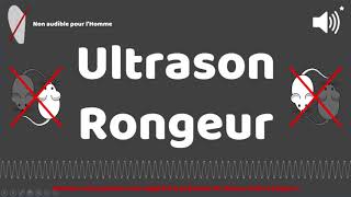 Puissant ultrason contre pour rongeur rats souris 1 HEURE [upl. by Bigford]