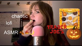 ASMR trying autumnal chocolates mukbang [upl. by Adeirf]