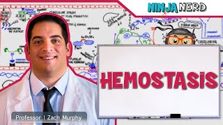 Hematology  Hemostasis Coagulation Cascade [upl. by Eahsat]