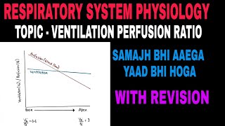 Ventilation Perfusion Ratio  Respiratory System Physiology [upl. by Thornie]