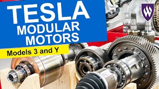 Tesla Model 3 and Y Modular Motors [upl. by Ana]