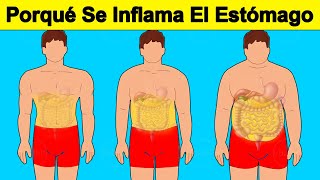 7 Causas De Que Tengas Inflamado El Estómago [upl. by Fesuoy]