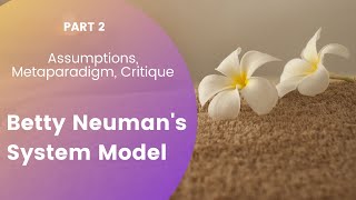 Assumptions Metaparadigm Critique Betty Neumans System Model Part 2 [upl. by Aynad]