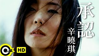 辛曉琪 Winnie Hsin【承認 Admitting】Official Music Video [upl. by Aehsel833]