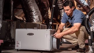 Whole House Dehumidifiers Pros amp Cons  Sylvane [upl. by Kingdon]