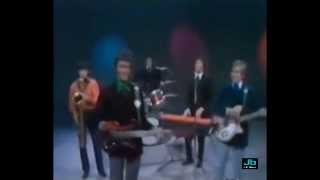 The Dave Clark Five  You Got What It Takes [upl. by Htebirol]